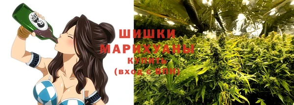 mix Гусиноозёрск