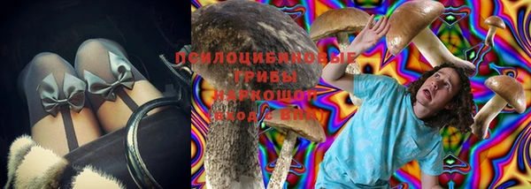 mix Гусиноозёрск