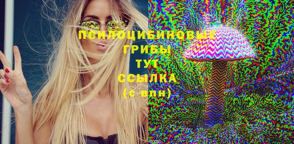 mix Гусиноозёрск