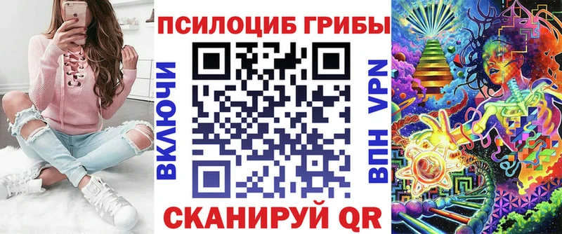 Купить где  Серов  Псилоцибиновые грибы Psilocybe 